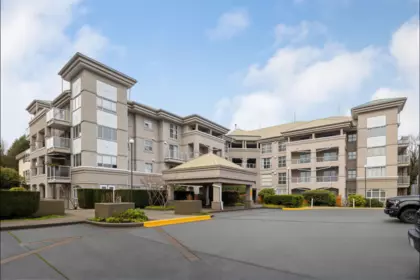 313 10533 University Drive, Surrey, BC, Surrey — Apartment/Condo for sale