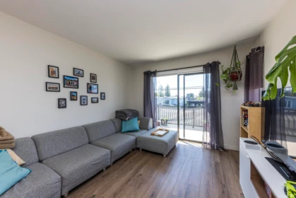 239 E 20th Street, North Vancouver, BC, North Vancouver — Single Family Residence for sale