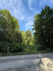 5 Upper Pitt River Road, Pitt Meadows, BC, Pitt Meadows — Land for sale