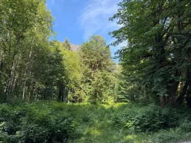 5 Upper Pitt River Road, Pitt Meadows, BC, Pitt Meadows — Land for sale