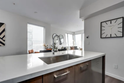 313 417 Great Northern Way, Vancouver, BC, Vancouver — Apartment/Condo for sale