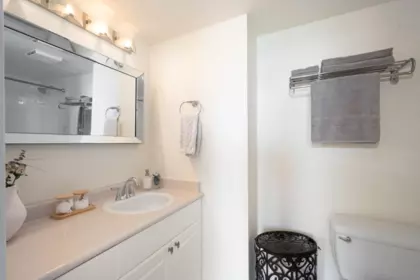 Powder Room Photo of 804 739 Princess Street, New Westminster, BC