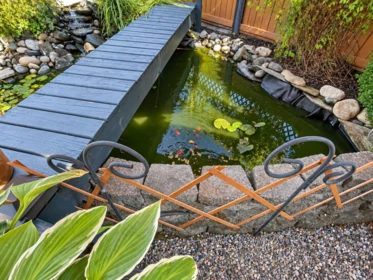 Swimming Pool Photo of 8998 203b Street, Langley, BC