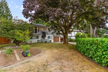 Aerial View of 3546 Flint Street, Port Coquitlam, BC