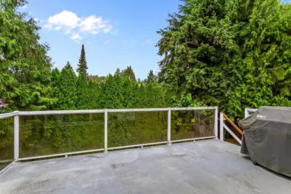 Backyard Photo of 3546 Flint Street, Port Coquitlam, BC