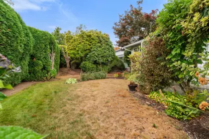 Dining Area Photo of 28 2989 Trafalgar Street, Abbotsford, BC