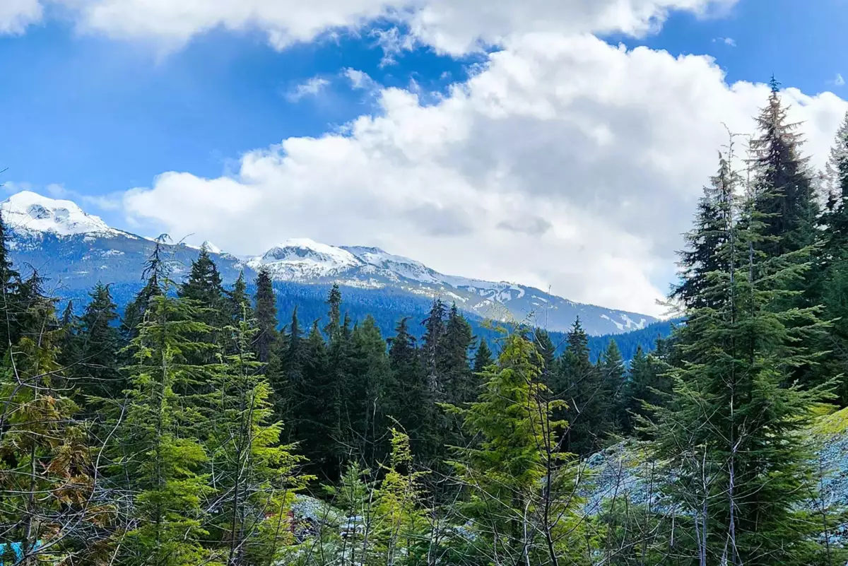Family Room Photo of DL3363 Highway 99, Whistler, BC