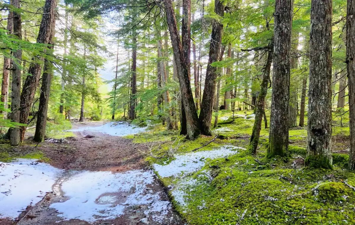 Living Room Photo of DL3363 Highway 99, Whistler, BC