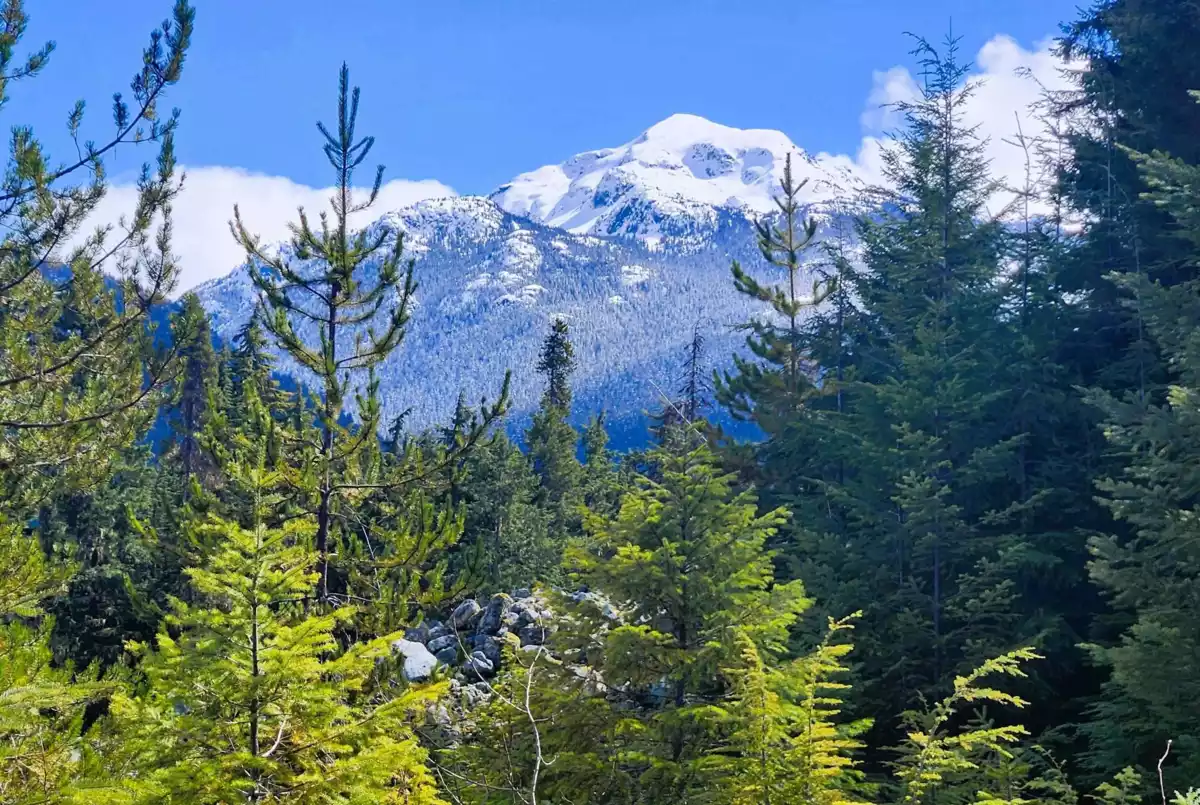 Primary Bedroom Photo of DL3363 Highway 99, Whistler, BC