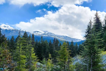 DL3363 Highway 99, Whistler, BC, Whistler — Land for sale