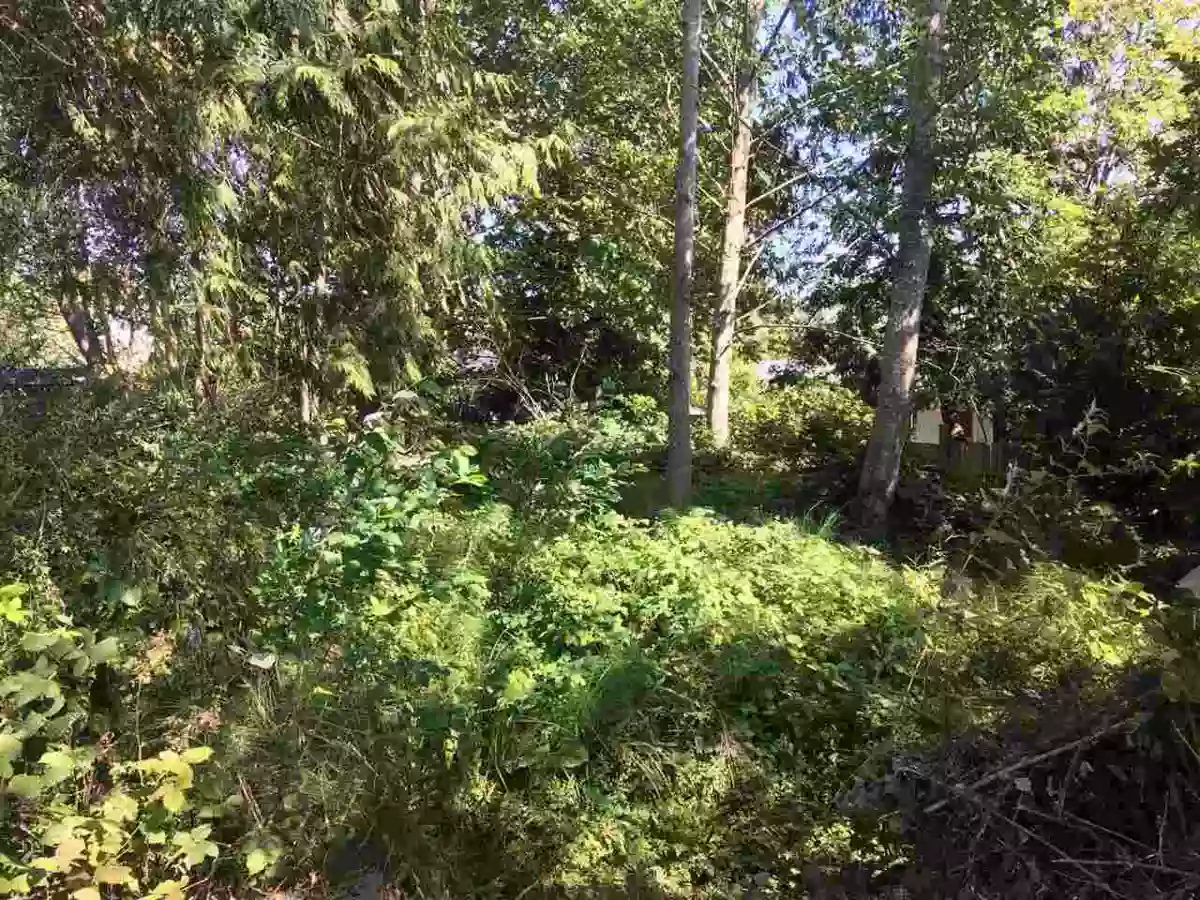 Dining Area Photo of Lot 38 Maplewood Lane, Gibsons, BC