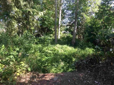 Family Room Photo of Lot 38 Maplewood Lane, Gibsons, BC