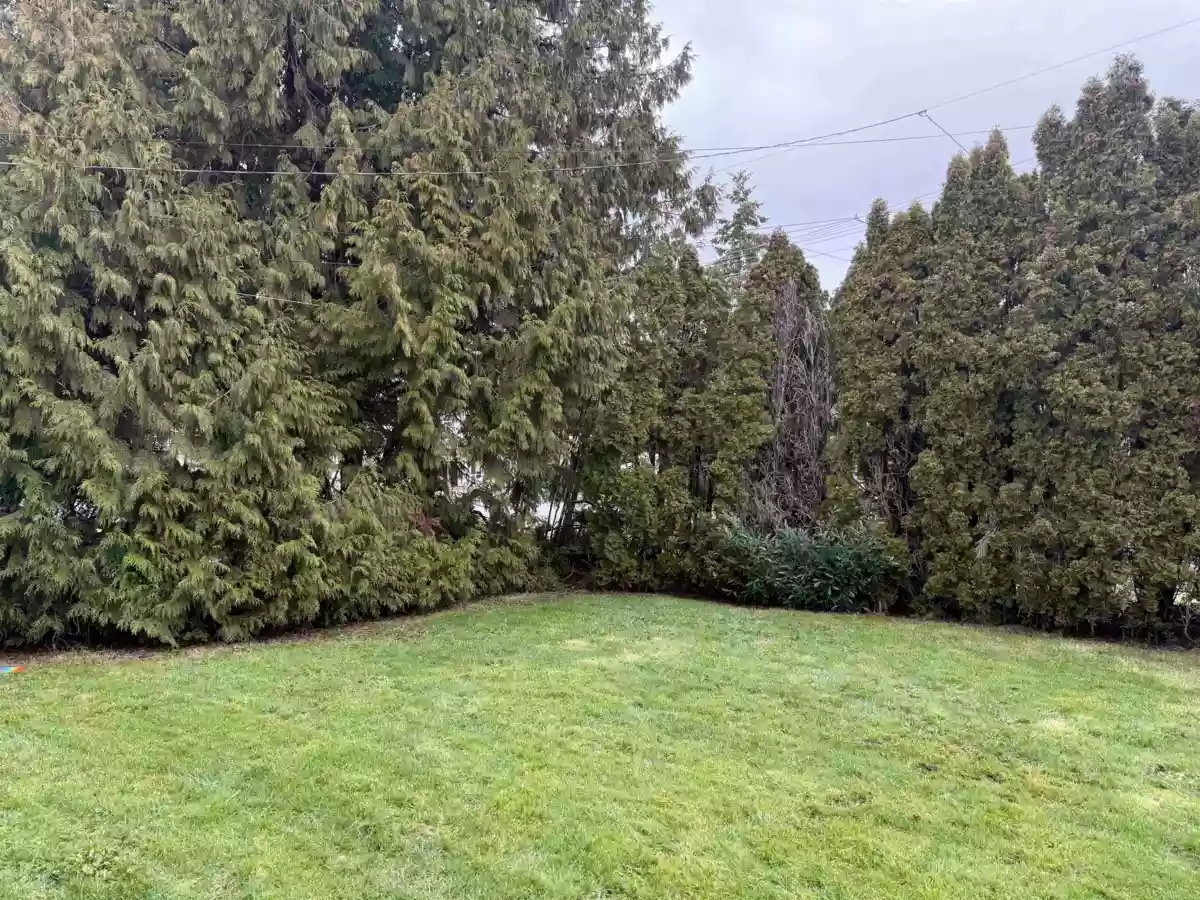 Family Room Photo of 11220 King Road, Richmond, BC