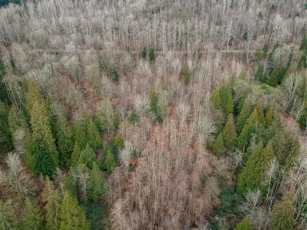 Family Room Photo of 30990 Olson Avenue, Mission, BC