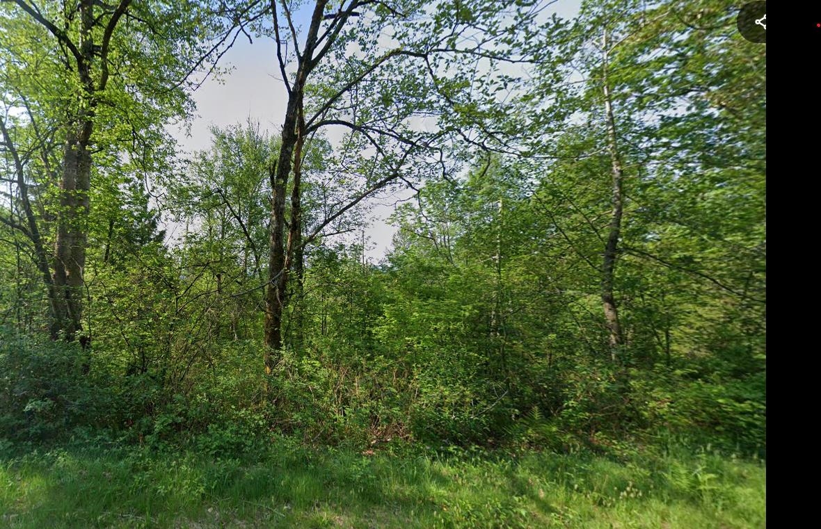 Primary Bathroom Photo of 30990 Olson Avenue, Mission, BC