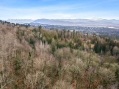 30990 Olson Avenue, Mission, BC