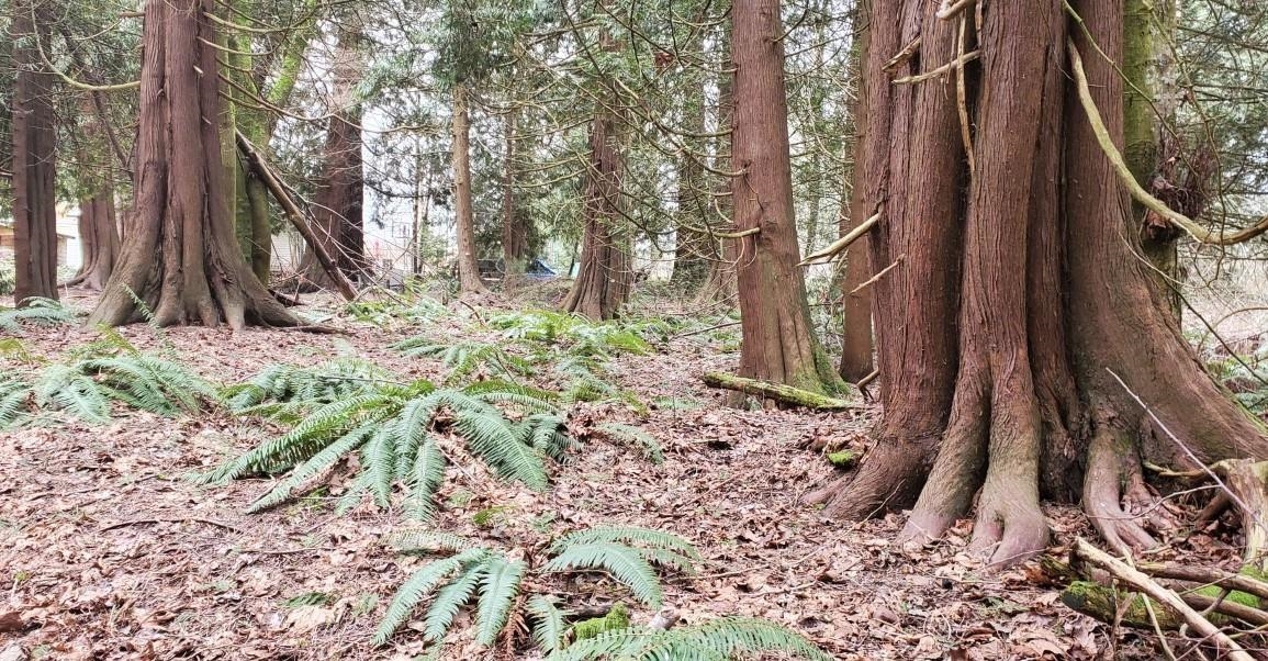 Kitchen Island Photo of 410 224 Street, Langley, BC