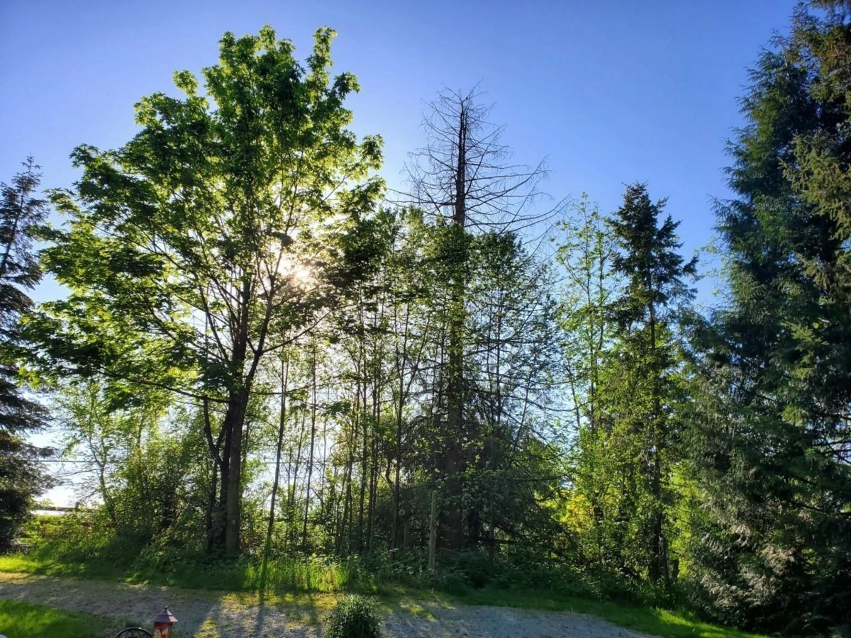 Kitchen Photo of 410 224 Street, Langley, BC