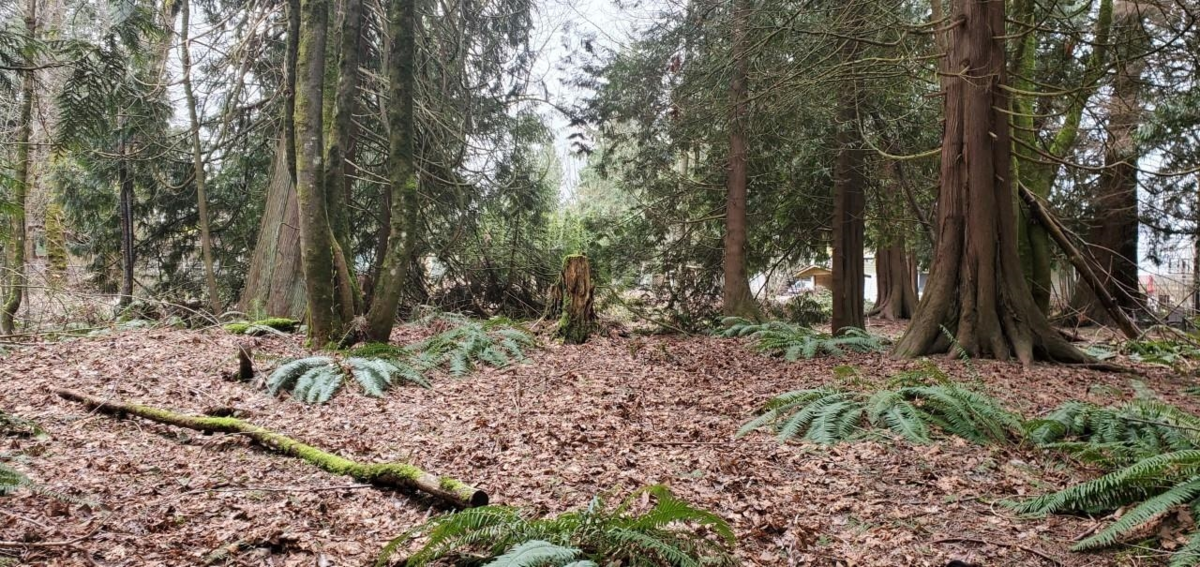 Pantry Photo of 410 224 Street, Langley, BC