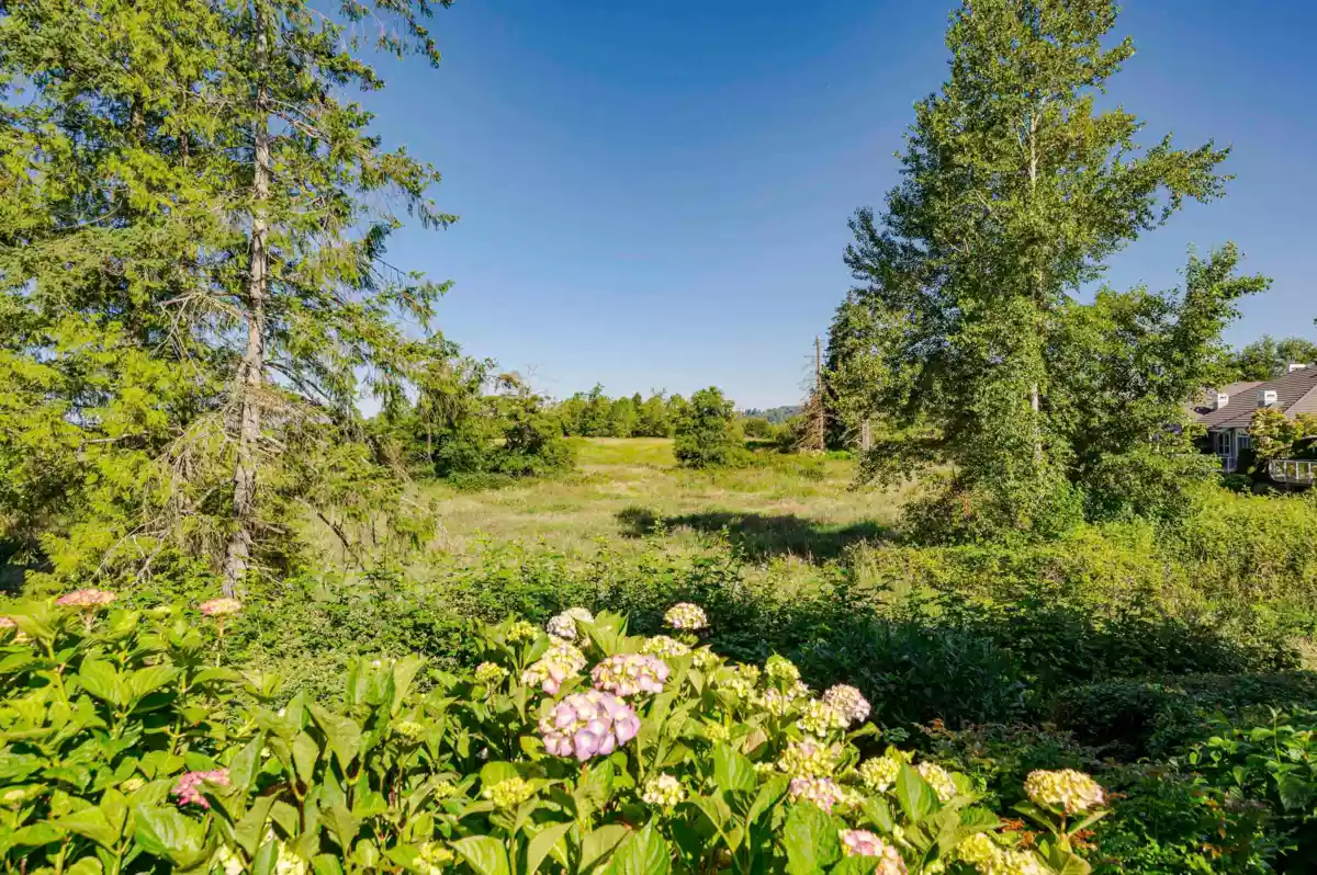 Aerial View of 27 18088 8 Avenue, Surrey, BC