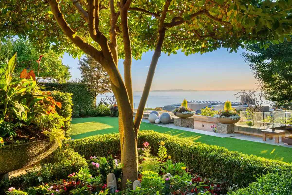 Backyard Photo of 14971 Prospect Avenue, White Rock, BC