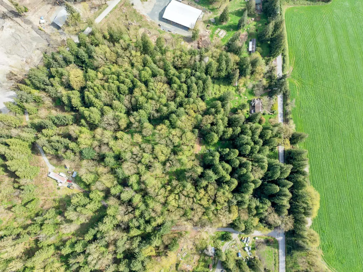 Loft / Bonus Room Photo of 11069 Brooks Road, Mission, BC
