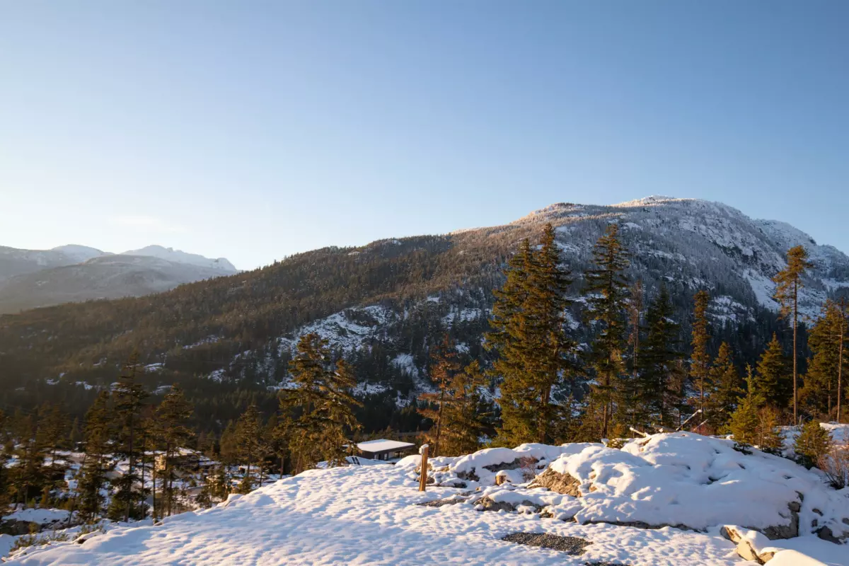 Bedroom 3 Photo of 9333 Warbler Way, Whistler, BC