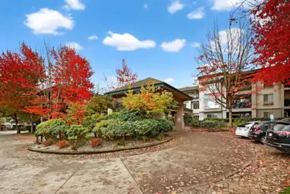 Front Yard Photo of 322 19528 Fraser Highway, Surrey, BC