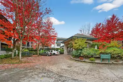 Swimming Pool Photo of 322 19528 Fraser Highway, Surrey, BC