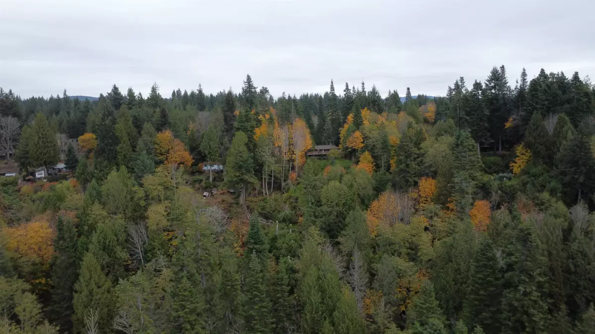 Powder Room Photo of 8131 Redrooffs Road, Halfmoon Bay, BC