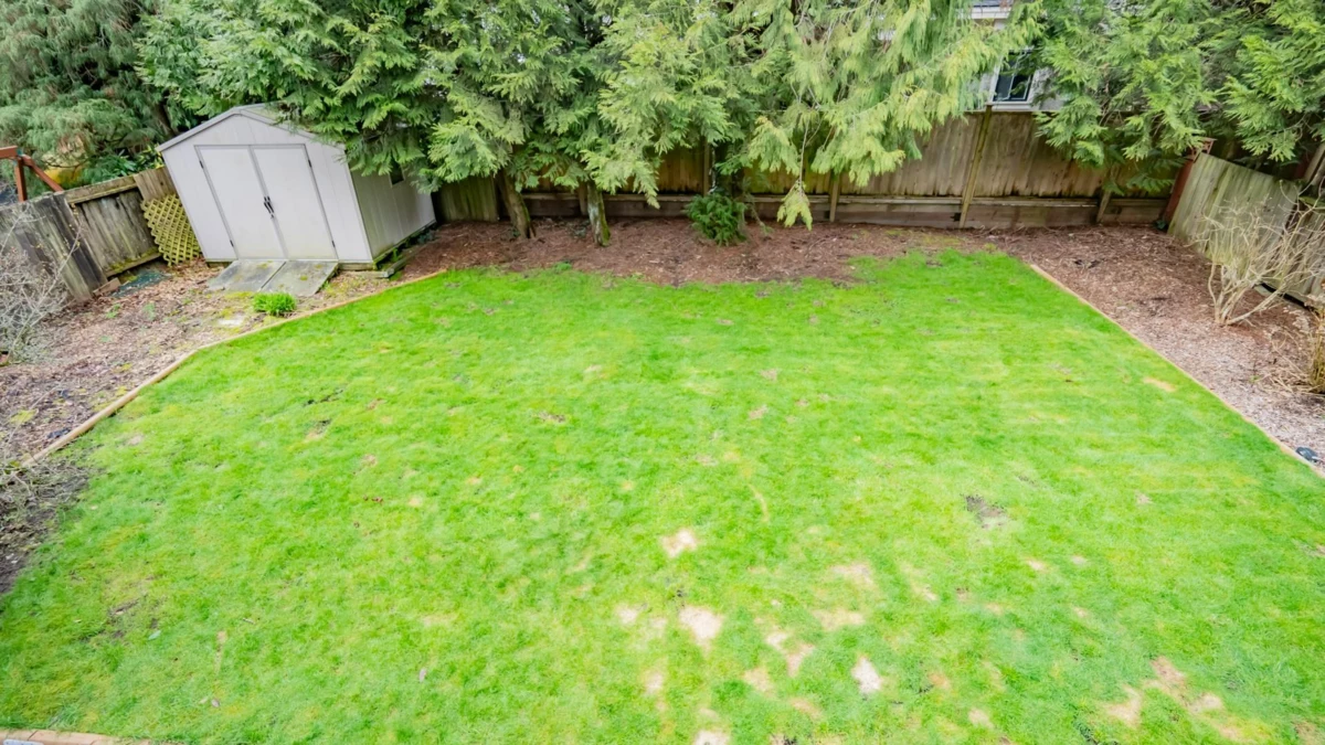 Basement Recreation Room Photo of 11891 No. 2 Road, Richmond, BC