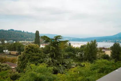 Garden / Landscaping Photo of 4014 84 Grant Street, Port Moody, BC