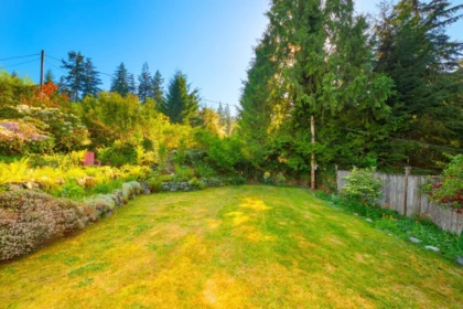 Front Yard Photo of 1177 Adams Road, Bowen Island, BC