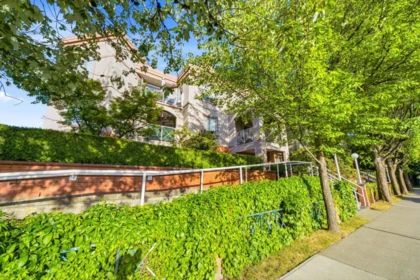 Staircase Photo of 102 2380 Shaughnessy Street, Port Coquitlam, BC