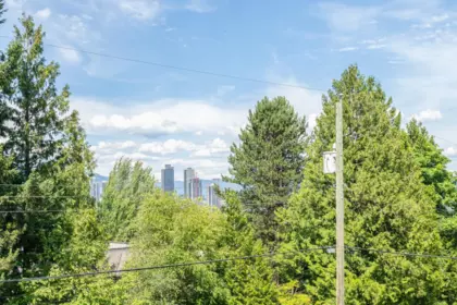 Backyard Photo of 3969 Nithsdale Street, Burnaby, BC