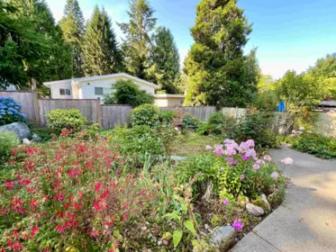 Front Yard Photo of 12754 15 Avenue, Surrey, BC