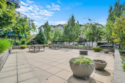 420 5486 199a Street, Langley, BC, Langley — Apartment/Condo for sale