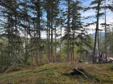 Breakfast Nook Photo of LOT B Francis Peninsula Road, Madeira Park, BC