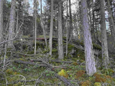 Mudroom Photo of LOT B Francis Peninsula Road, Madeira Park, BC