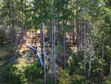 Pantry Photo of LOT B Francis Peninsula Road, Madeira Park, BC