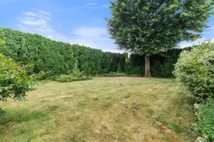 Neighborhood Park Photo Near 45992 Silver Avenue, Chilliwack, BC