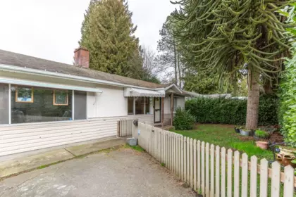 Exterior Rear Photo of 13221 112b Avenue, Surrey, BC