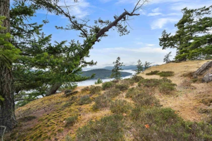 Powder Room Photo of 470 Heck Hill Road, Mayne Island, BC