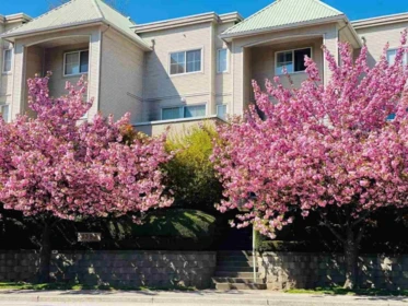 2 1383 Brunette Avenue, Coquitlam, BC, Coquitlam — Townhouse for sale