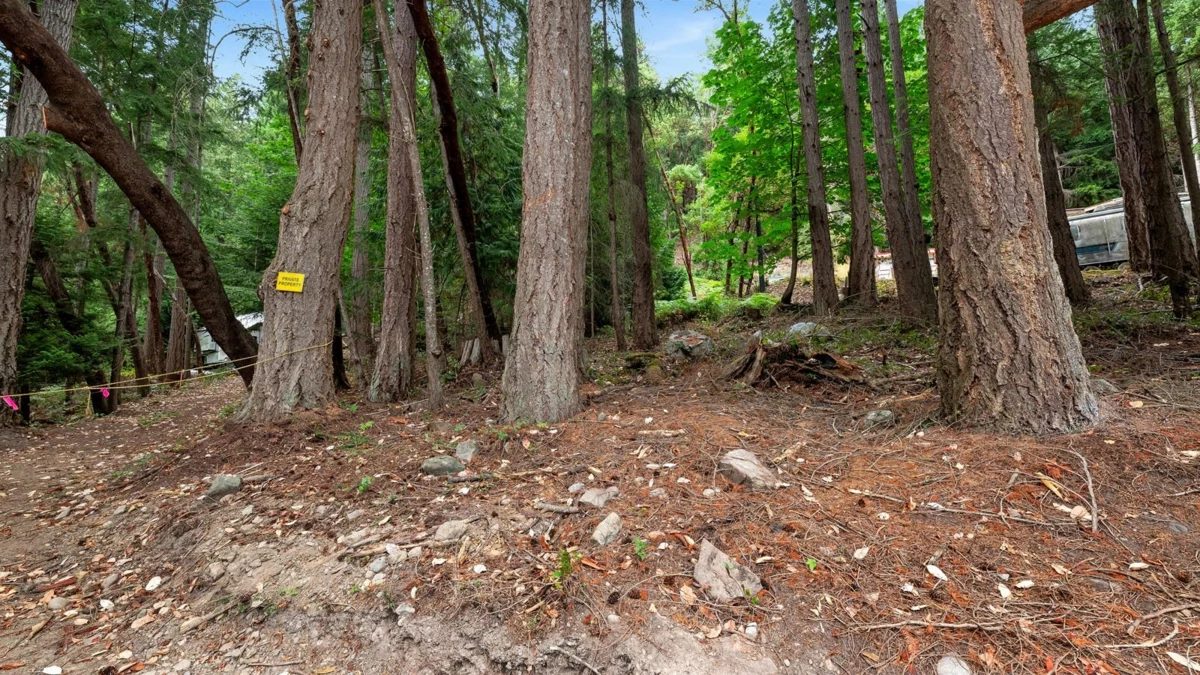 Basement Recreation Room Photo of 488 Letour Road, Mayne Island, BC