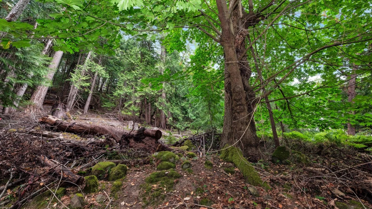 Bedroom 2 Photo of 488 Letour Road, Mayne Island, BC