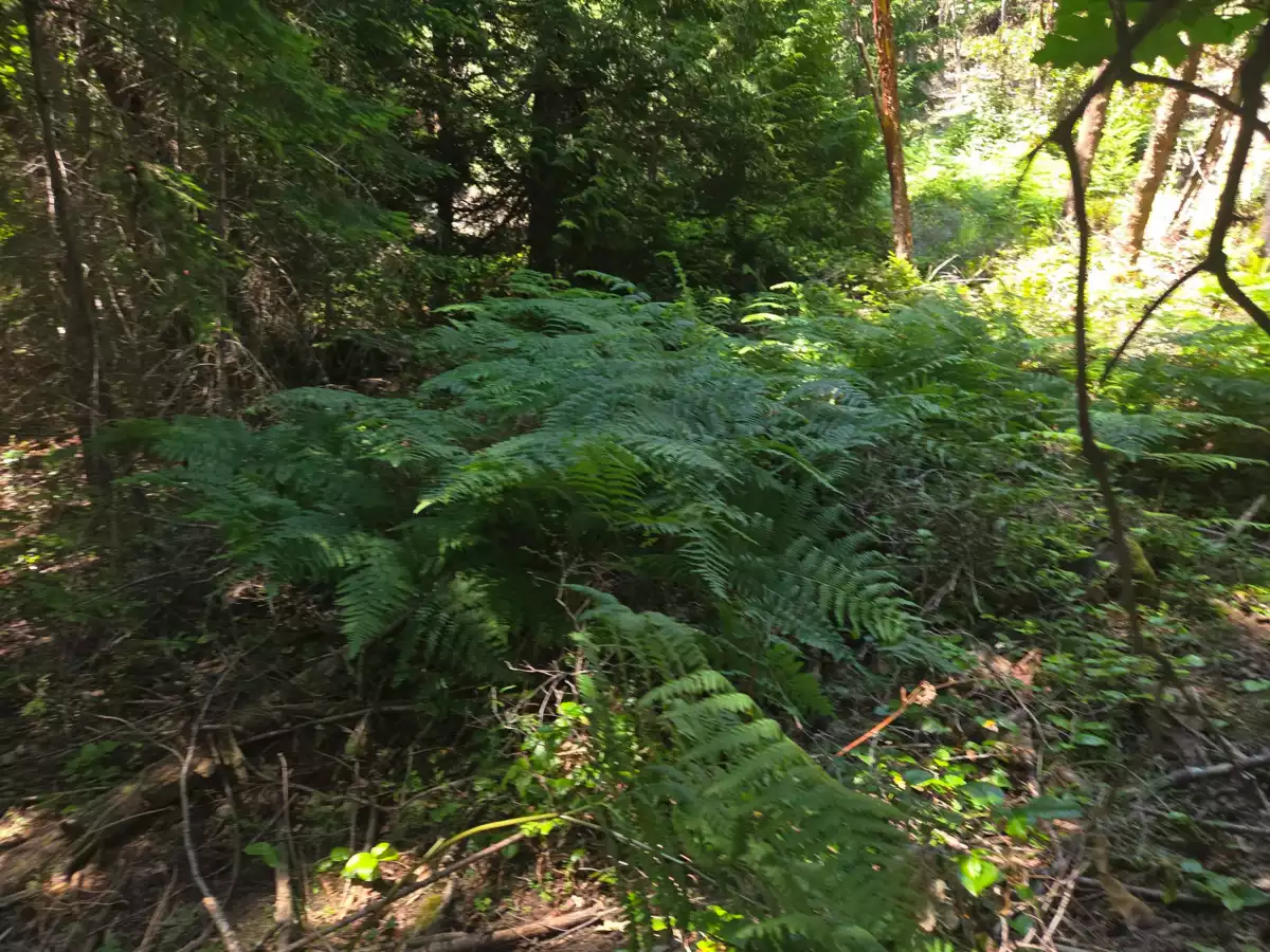 Bedroom 3 Photo of 488 Letour Road, Mayne Island, BC