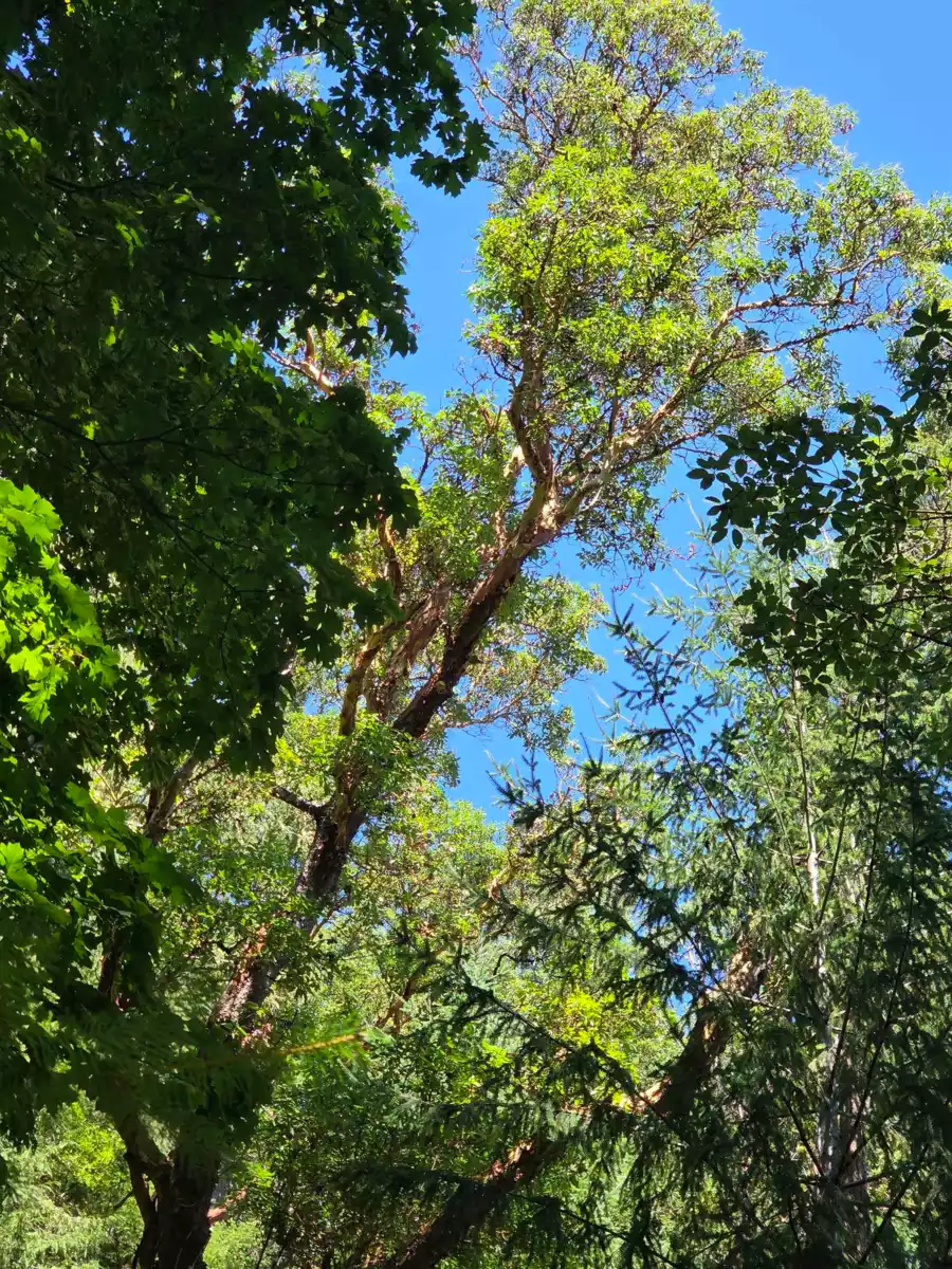 Breakfast Nook Photo of 488 Letour Road, Mayne Island, BC