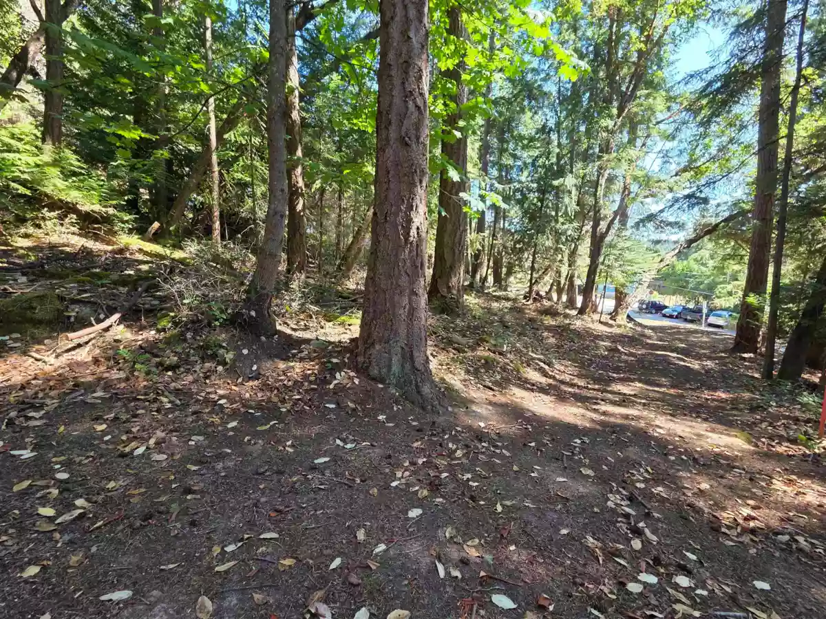Family Room Photo of 488 Letour Road, Mayne Island, BC