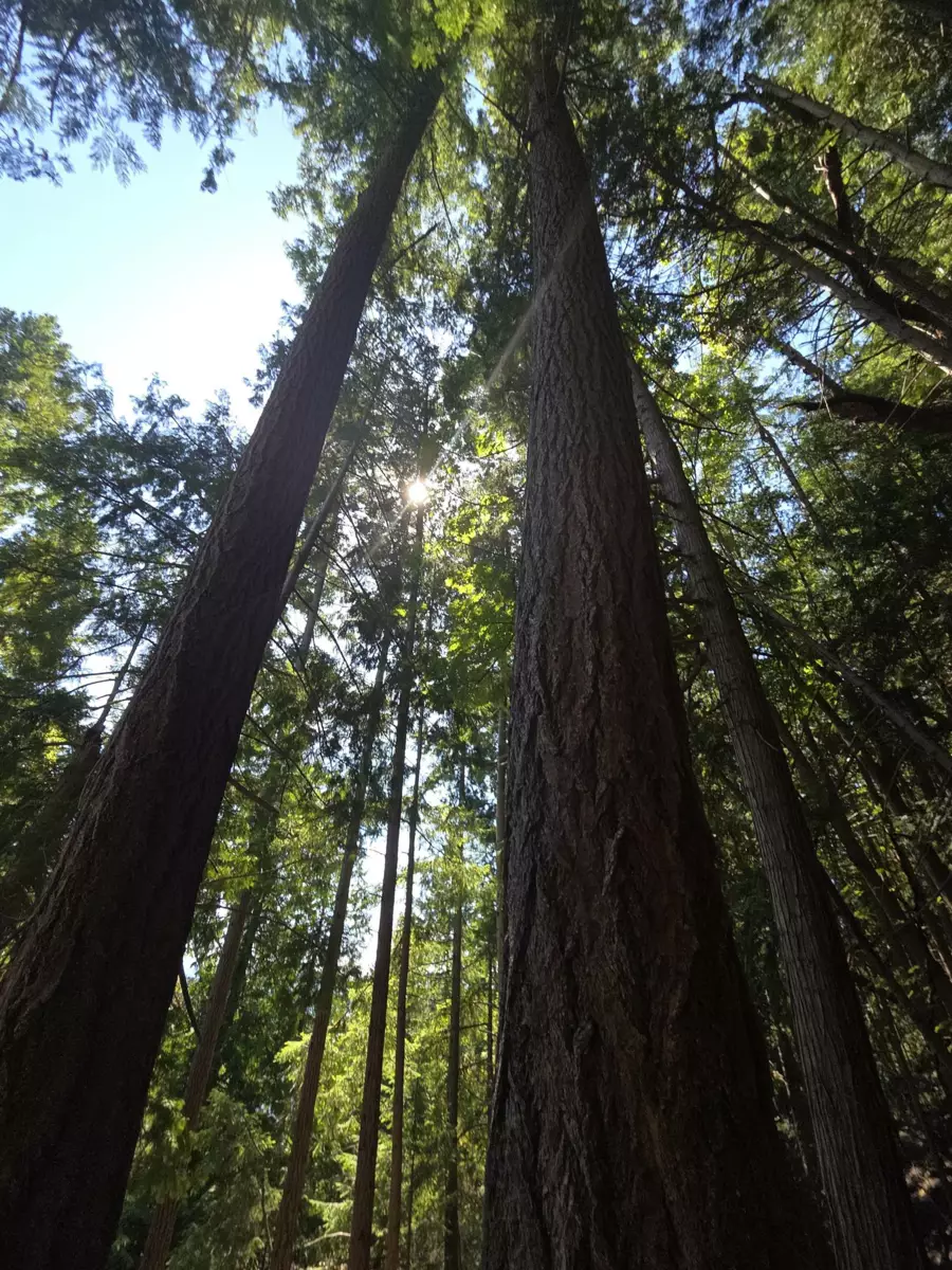 Hallway Photo of 488 Letour Road, Mayne Island, BC